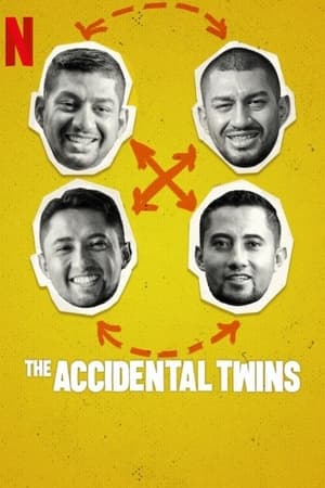 The Accidental Twins (2024) ฝาแฝดบังเอิญ ดูหนังออนไลน์ HD
